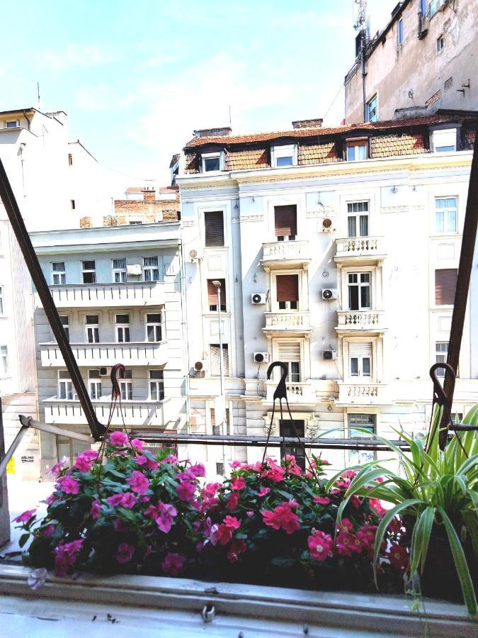 Monica'S House Hostel Belgrade Exterior photo